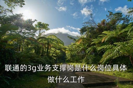 聯(lián)通的3g業(yè)務(wù)支撐崗是什么崗位具體做什么工作