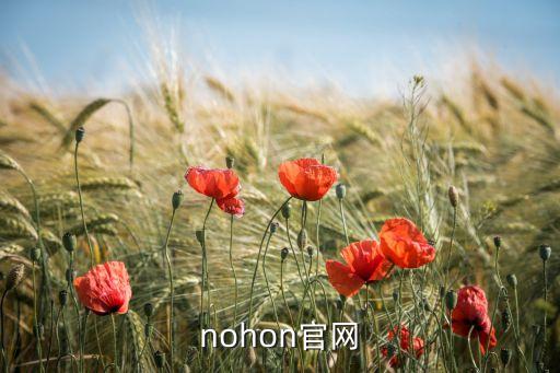 nohon官網(wǎng)