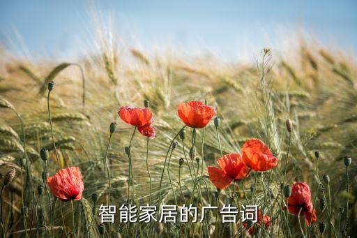 智能家居的廣告詞
