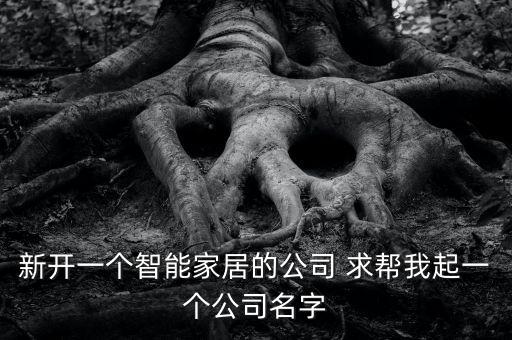 智能公司起名，智能科技公司起什么名字