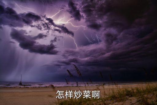 怎樣炒菜啊