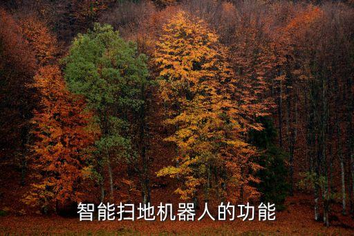 智能掃地機(jī)器人的功能
