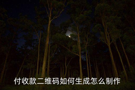 付收款二維碼如何生成怎么制作