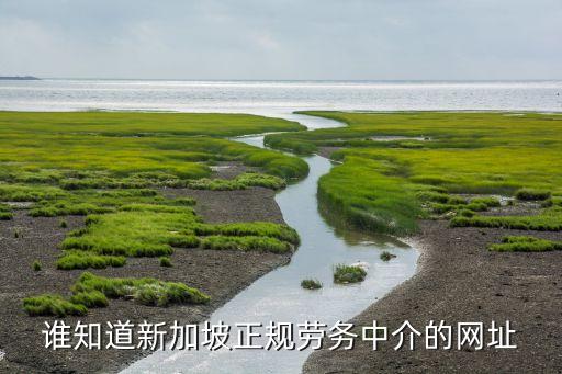 勞務(wù)中介接單平臺(tái)，境外就業(yè) 出國(guó)勞務(wù) 出國(guó)中介 哪個(gè)網(wǎng)站比較權(quán)威