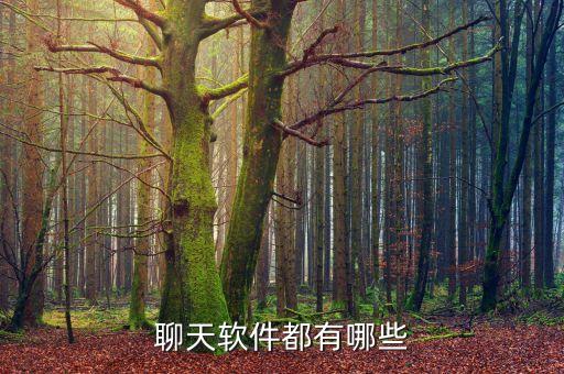 聊天軟件都有哪些