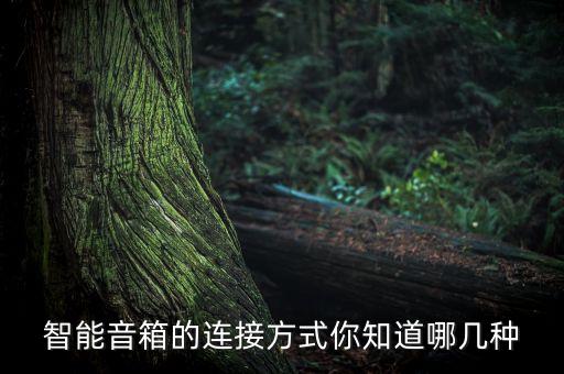 智能音箱的連接方式你知道哪幾種