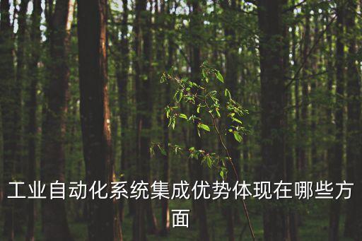 自動(dòng)化系統(tǒng)集成技術(shù)，自動(dòng)化系統(tǒng)集成的相關(guān)問(wèn)題