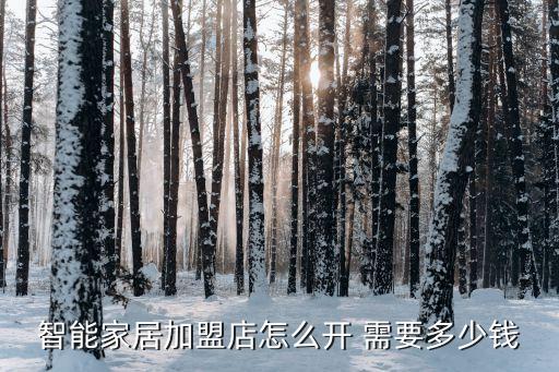 智能項(xiàng)目加盟，國內(nèi)智能無人洗車項(xiàng)目加盟哪幾家好