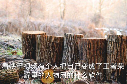 看快手視頻有個(gè)人把自己變成了王者榮耀里的人物用的什么軟件