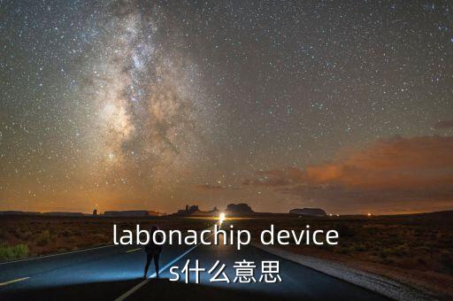 labonachip devices什么意思
