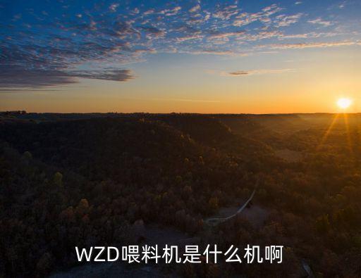 WZD喂料機是什么機啊