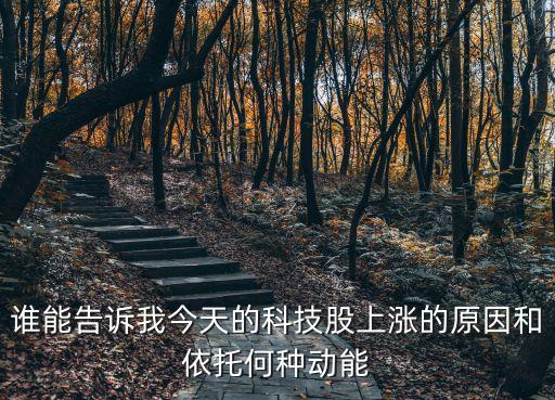 誰能告訴我今天的科技股上漲的原因和依托何種動能