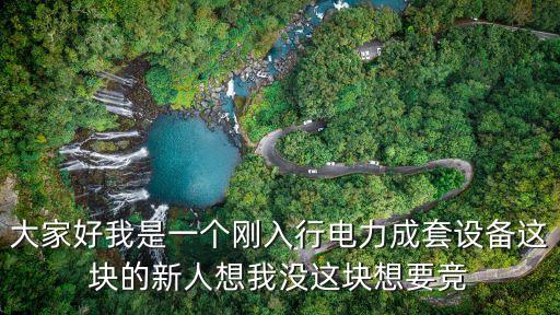 大家好我是一個剛?cè)胄须娏Τ商自O(shè)備這塊的新人想我沒這塊想要競