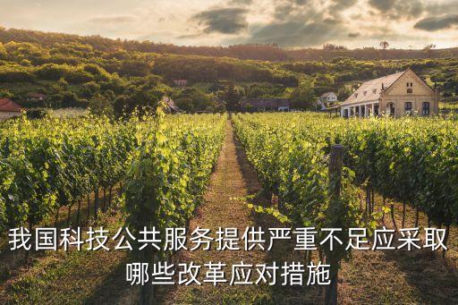 我國(guó)科技公共服務(wù)提供嚴(yán)重不足應(yīng)采取哪些改革應(yīng)對(duì)措施