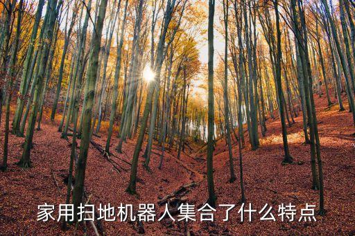 掃地機(jī)器人的外形功能特點(diǎn)，掃地機(jī)器人智慧一號(hào)有哪些功能特點(diǎn)