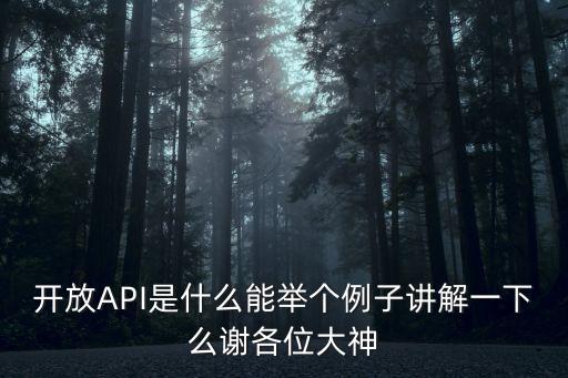 開(kāi)放API是什么能舉個(gè)例子講解一下么謝各位大神