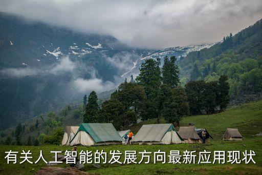 人工智能的發(fā)展數(shù)據(jù)統(tǒng)計圖，人工智能未來在中國的發(fā)展是什么樣的呢