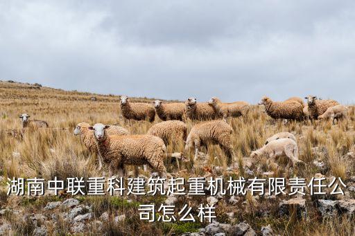 建設機械新聞，跪求一句話新聞 09年12月份的