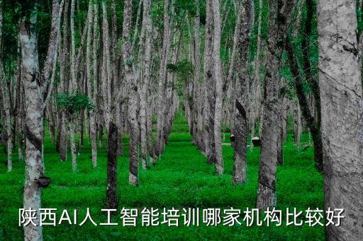 陜西AI人工智能培訓(xùn)哪家機(jī)構(gòu)比較好
