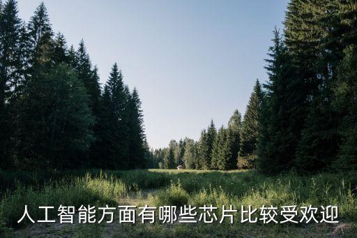 人工智能方面有哪些芯片比較受歡迎