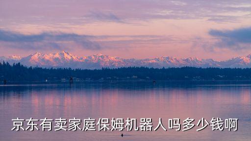 京東有賣家庭保姆機器人嗎多少錢啊