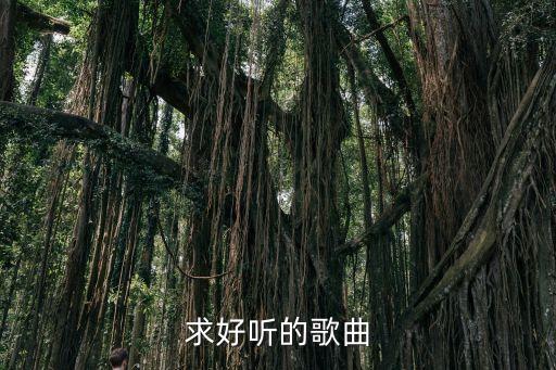 求好聽的歌曲