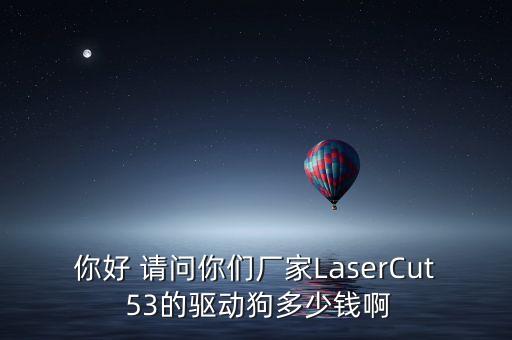 你好 請問你們廠家LaserCut 53的驅(qū)動(dòng)狗多少錢啊
