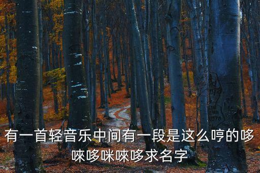 哆咪哆音樂，有一首輕音樂中間有一段是這么哼的哆唻哆咪唻哆求名字