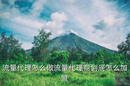 流量代理怎么做流量代理商到底怎么加盟