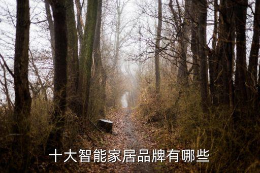 全屋智能十大名牌排行榜，我想了解目前中國(guó)智能家居品牌排名前十大有哪些謝謝