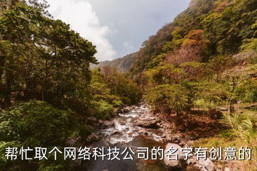 幫忙取個(gè)網(wǎng)絡(luò)科技公司的名字有創(chuàng)意的