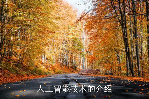 人工智能技術(shù)的介紹