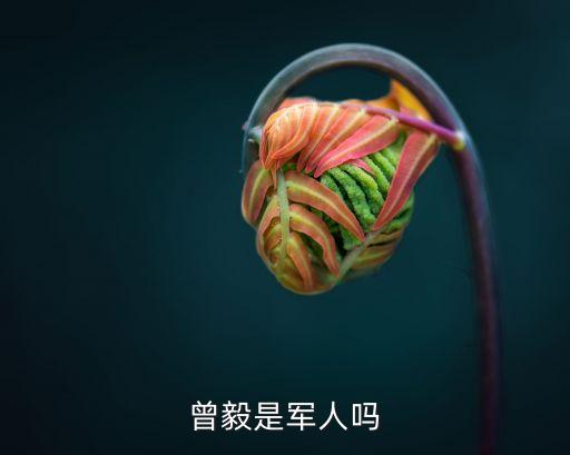 曾毅是軍人嗎