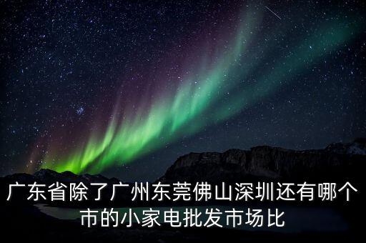 廣東省除了廣州東莞佛山深圳還有哪個市的小家電批發(fā)市場比