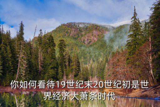 你如何看待19世紀(jì)末20世紀(jì)初是世界經(jīng)濟(jì)大蕭條時(shí)代