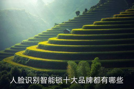 人臉識(shí)別智能鎖十大品牌都有哪些