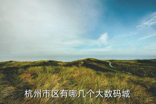 杭州市區(qū)有哪幾個(gè)大數(shù)碼城