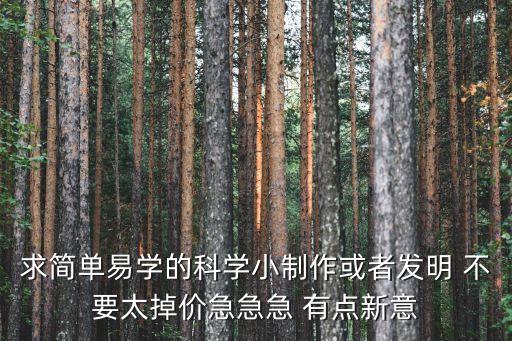 求簡單易學(xué)的科學(xué)小制作或者發(fā)明 不要太掉價急急急 有點(diǎn)新意