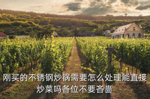 剛買的不銹鋼炒鍋需要怎么處理能直接炒菜嗎各位不要吝嗇