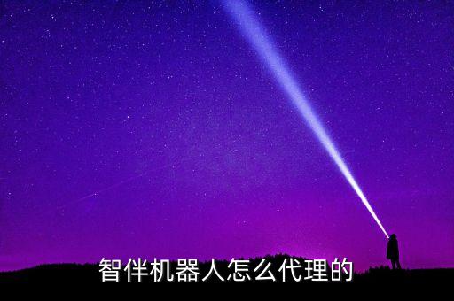 智伴機(jī)器人怎么代理的