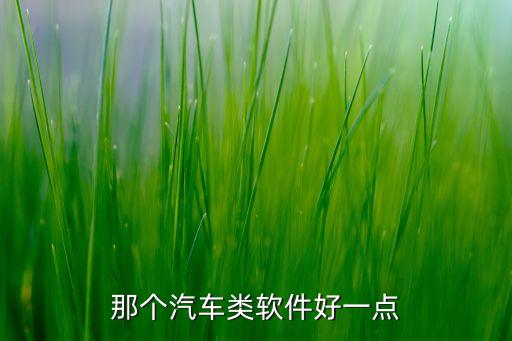 那個汽車類軟件好一點