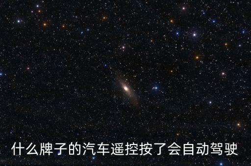 什么牌子的汽車遙控按了會自動駕駛