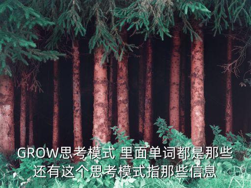 GROW思考模式 里面單詞都是那些還有這個思考模式指那些信息