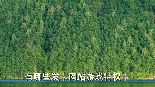 有哪些發(fā)卡網(wǎng)站游戲特權(quán)卡