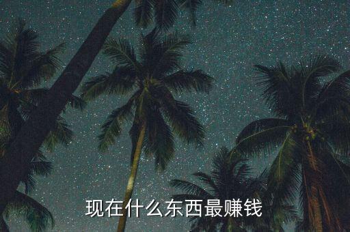 現(xiàn)在什么東西最賺錢