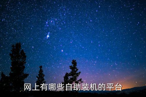 24自助下單平臺網(wǎng)站，網(wǎng)上有哪些自助裝機的平臺