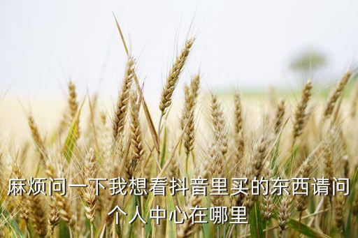 麻煩問一下我想看抖音里買的東西請問個人中心在哪里