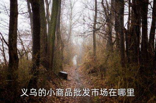 義烏的小商品批發(fā)市場在哪里