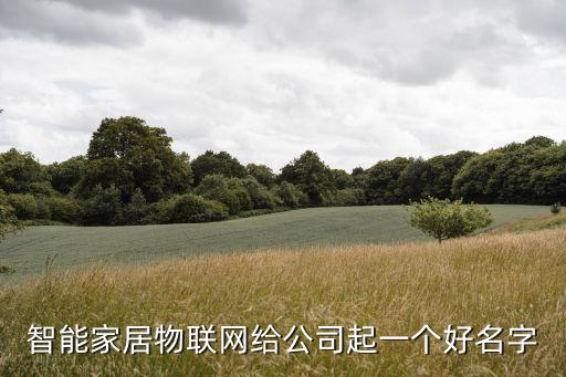 智能家居物聯(lián)網(wǎng)給公司起一個(gè)好名字