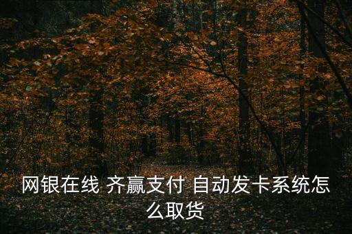 網(wǎng)銀在線 齊贏支付 自動發(fā)卡系統(tǒng)怎么取貨